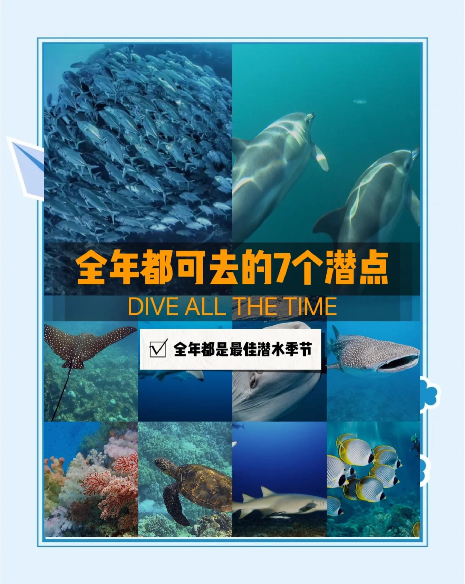 包含海底钟乳石潜水大赛，探秘自然的奇幻景观的词条