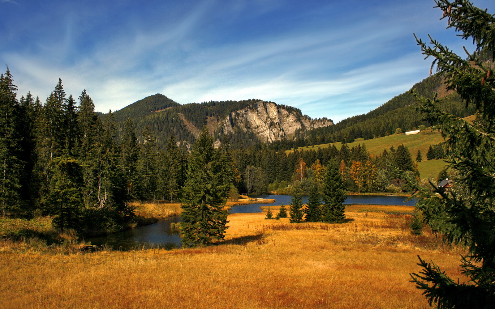 BLG举办电竞选手职业发展座谈会，电竞选手brady