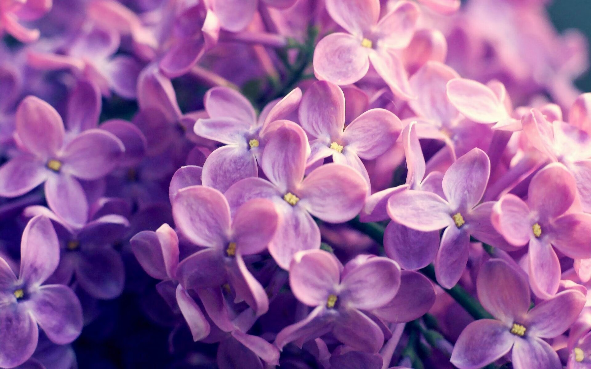 惊险的一役！欧洲预选赛中发生了罕见的意外，欧洲预选赛结束了吗