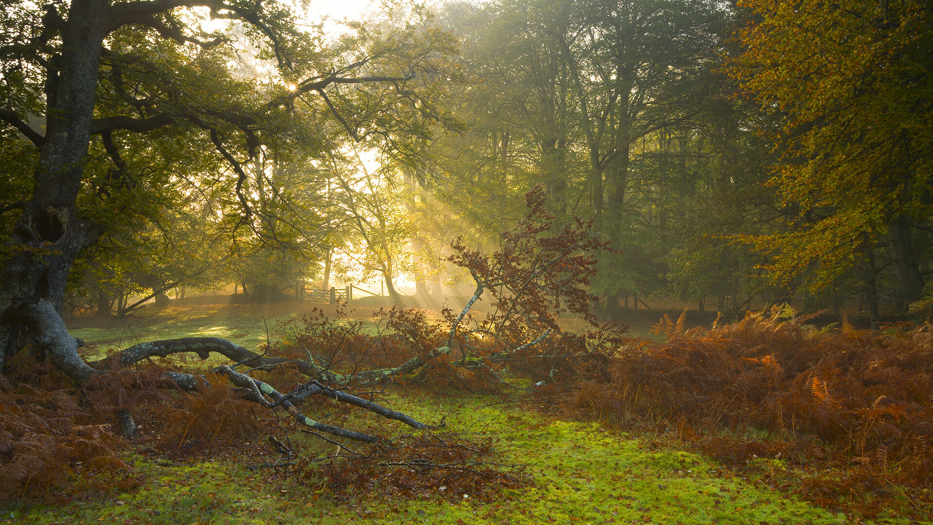 队长受伤或影响联赛排名，马赛战绩存变数需警惕，队长比赛