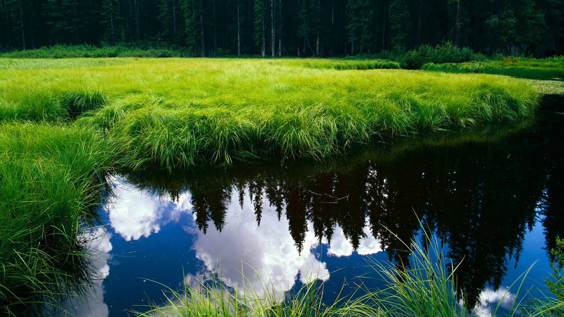 阿贾克斯重返荷甲巅峰，年轻球员表现出色，阿贾克斯重返荷甲巅峰,年轻球员表现出色吗