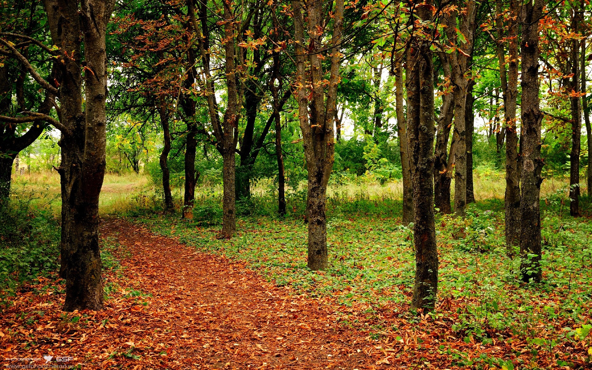 开云投注-体育学科交叉融合研究的现状与挑战，体育学科交叉融合研究的现状与挑战论文