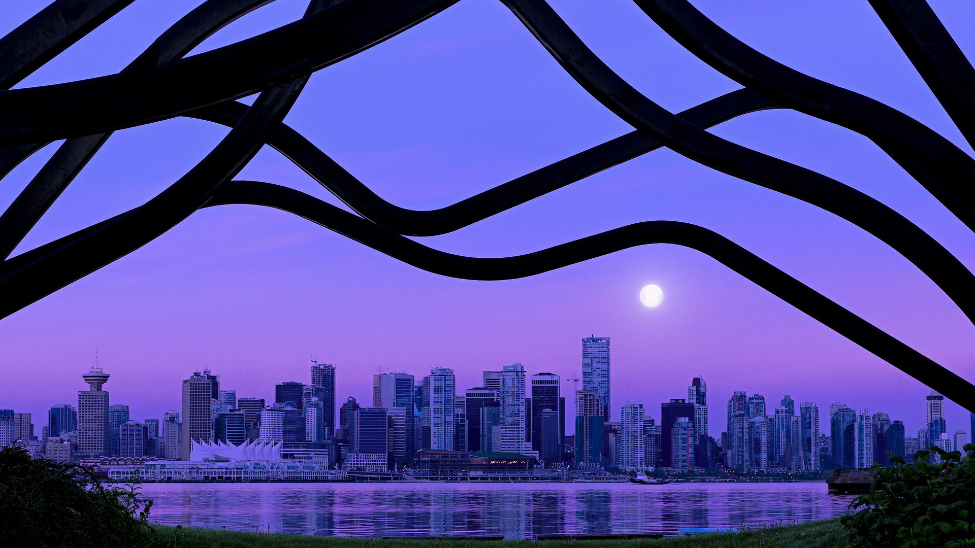 球迷文化日益成熟CBA赛场气氛逐步回暖,cba篮球文